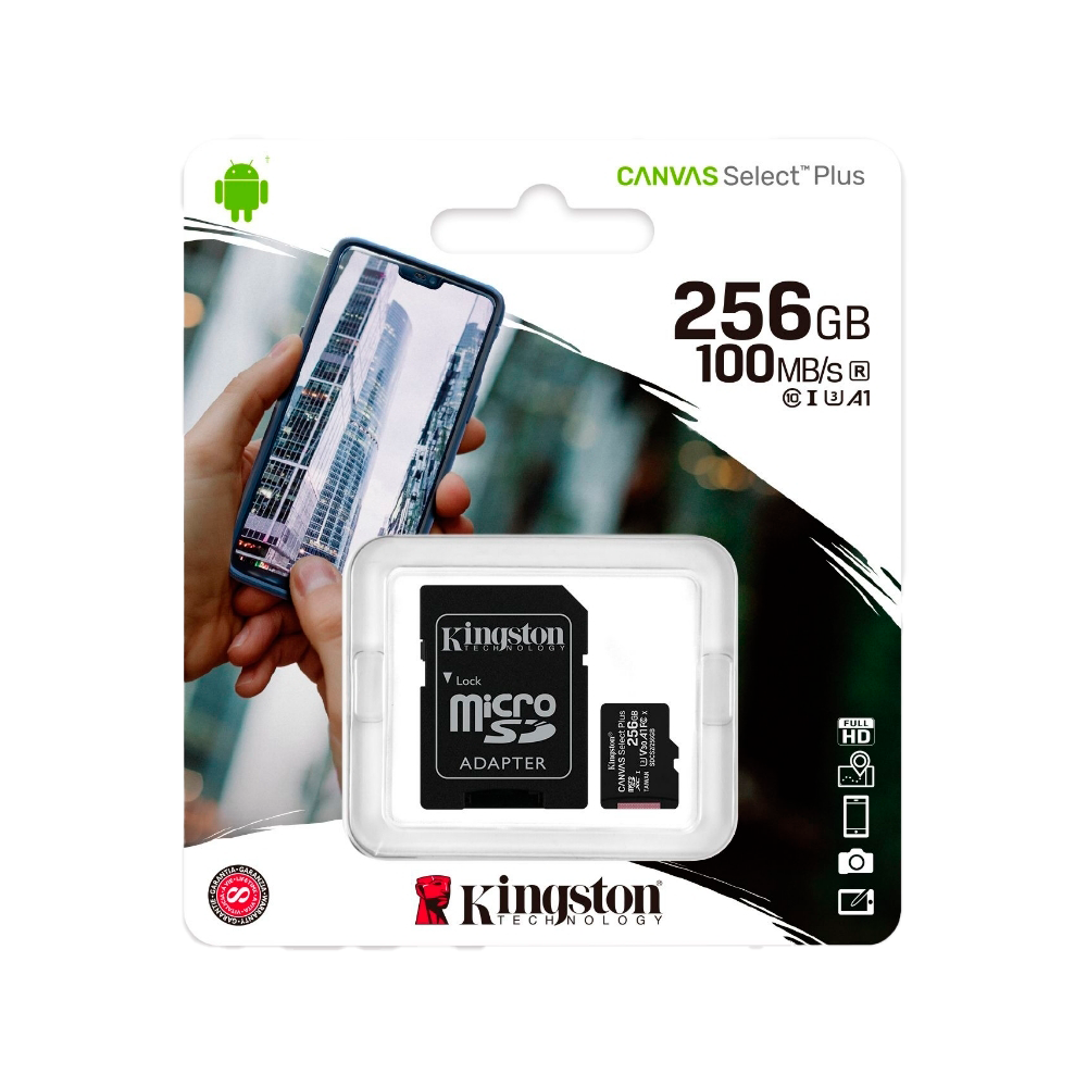 MicroSD Kingstone - 256GB